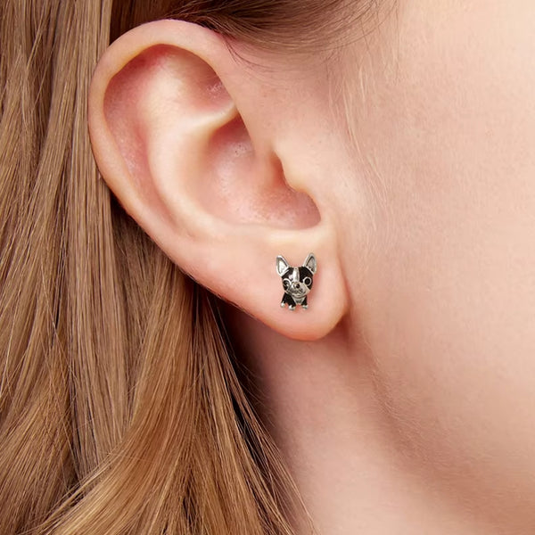 Ohrstecker Hund Bulldog Sterling Silber - FALKENKOENIG SCHMUCK & Piercing Online Shop