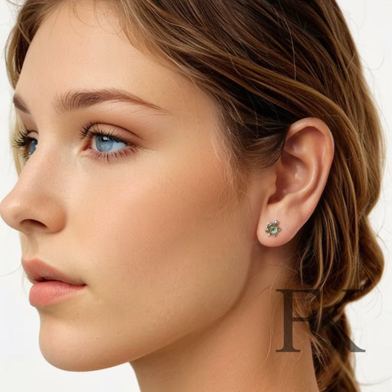 Ohrstecker Schildkröten Sterling Silber - FALKENKOENIG SCHMUCK & Piercing Online Shop