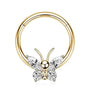 Schmetterling Gold Septum-Piercing Titan - FALKENKOENIG SCHMUCK & Piercing Online Shop